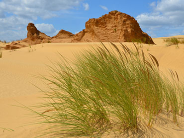 Giant Sand Dunes
